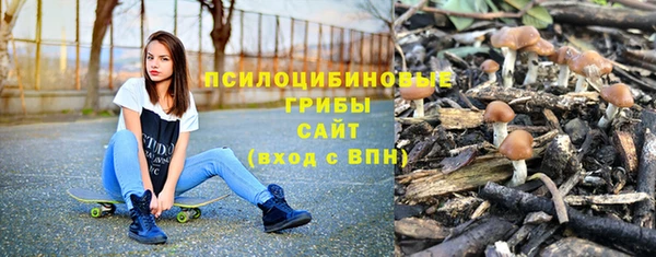 ALPHA PVP Новодвинск