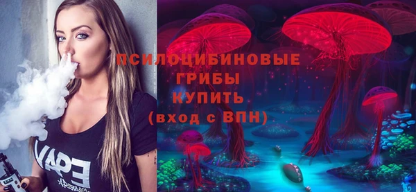 ALPHA PVP Новодвинск