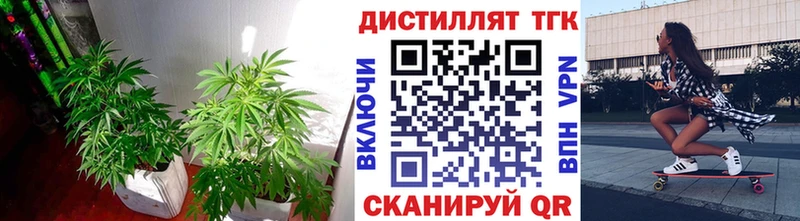 где можно купить наркотик  Богданович  ТГК гашишное масло 
