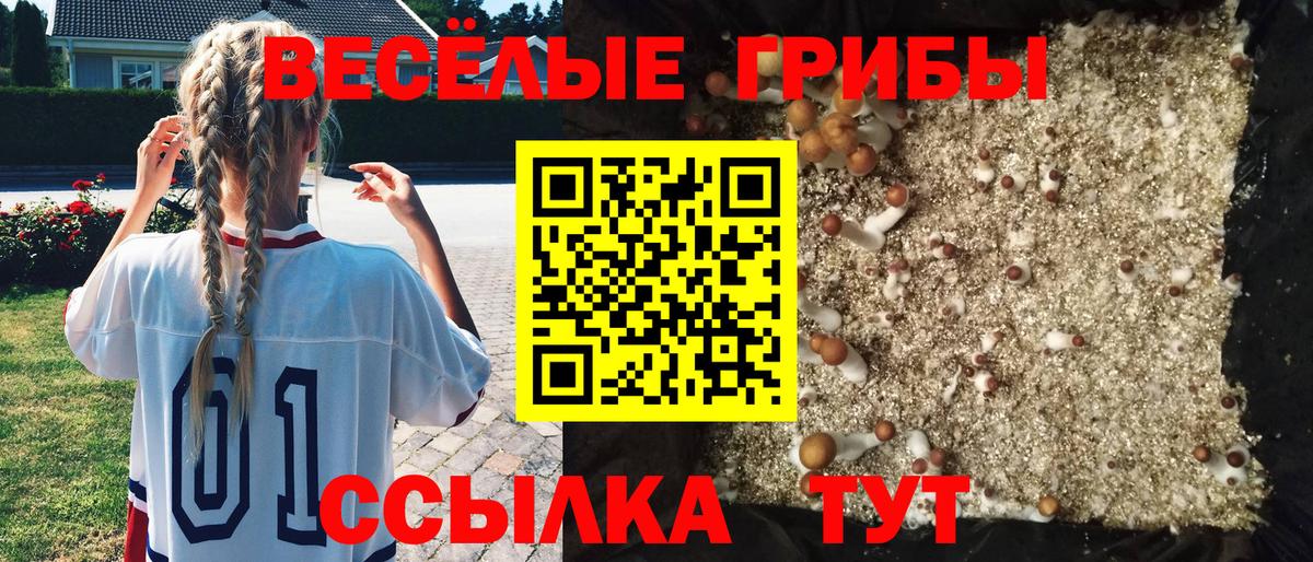 Псилоцибиновые грибы мухоморы Богданович