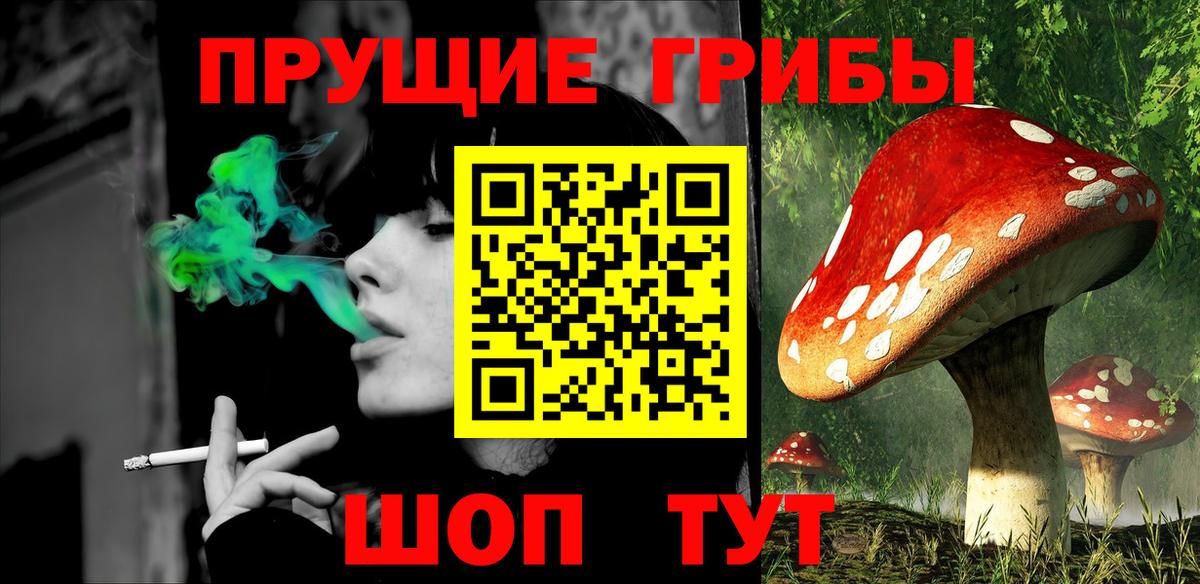 Псилоцибиновые грибы GOLDEN TEACHER  Вход с VPN  Богданович  Псилоцибиновые грибы Magic Shrooms 