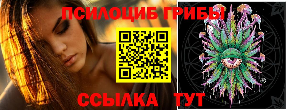 Галлюциногенные грибы Psilocybine cubensis Богданович