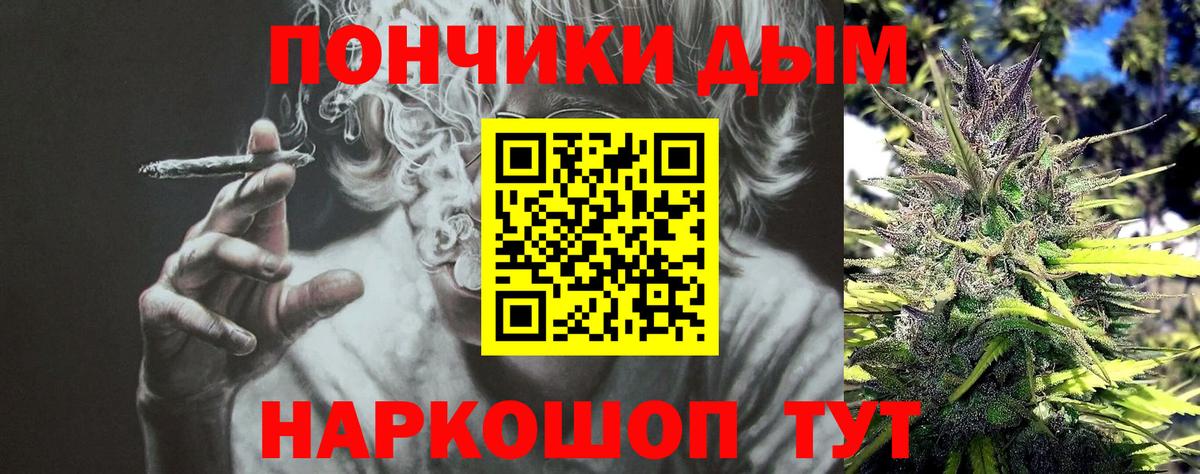 Бошки Шишки Amnesia Богданович